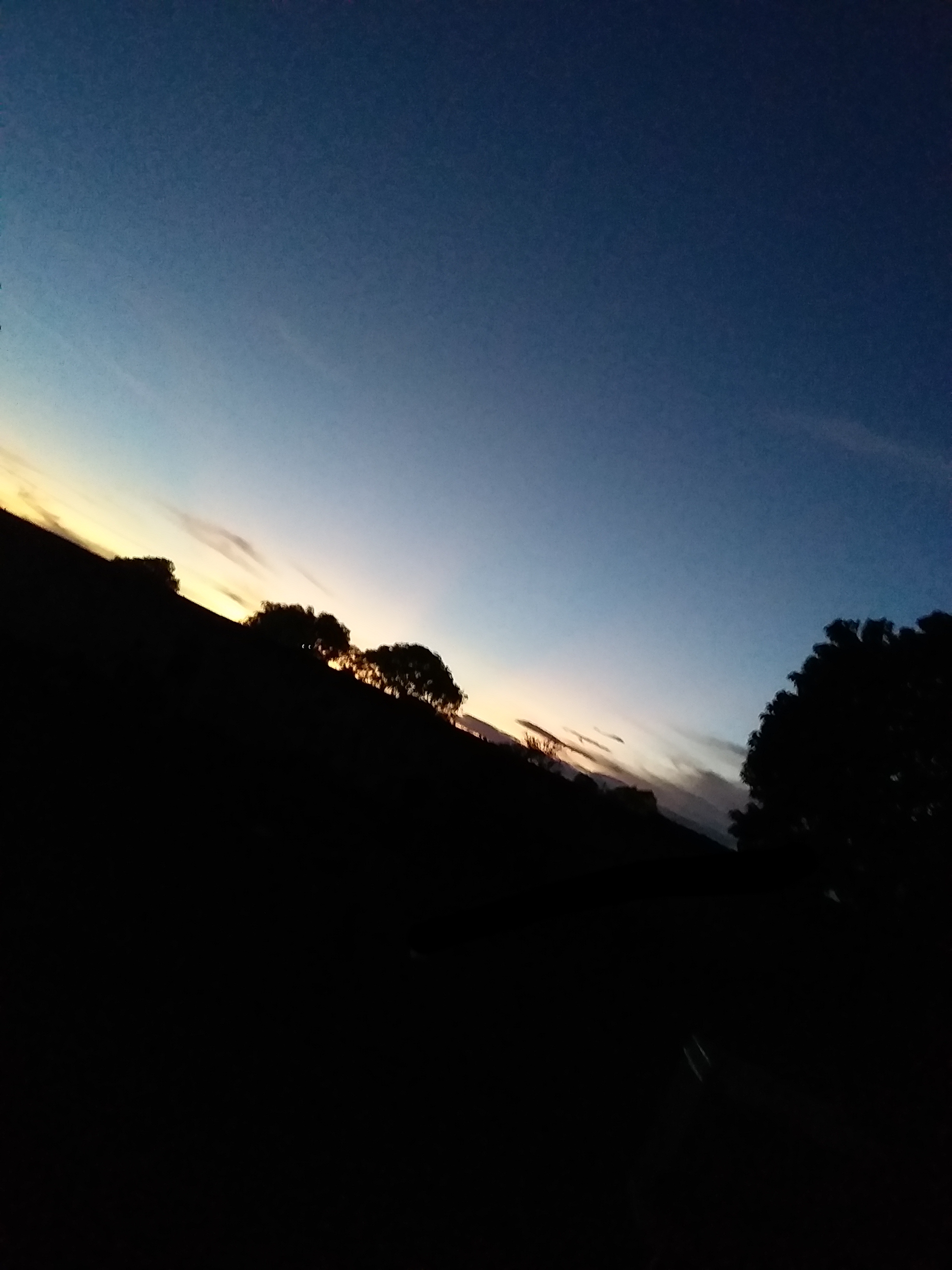 artist album picture